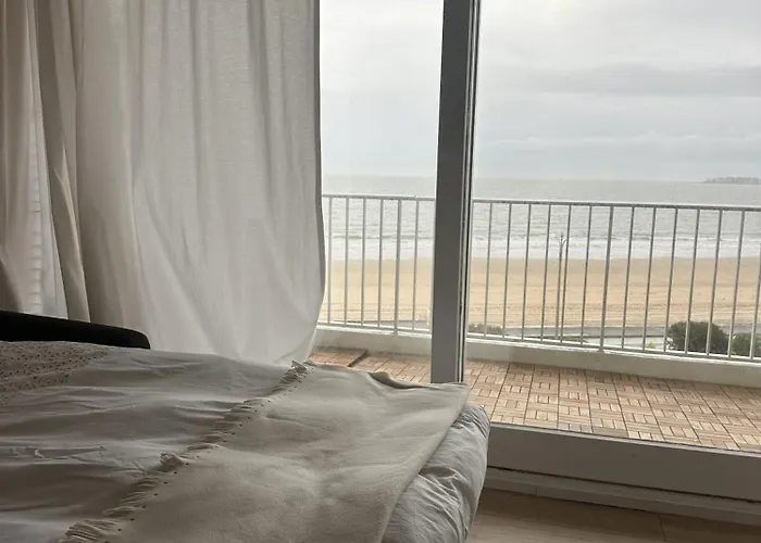 Le Baulnéaire, Vue Mer, à Pied, Parking Privé *