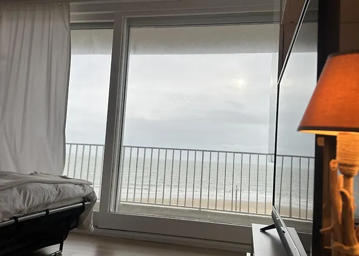 Le Baulneaire, Vue Mer, A Pied, Parking Prive * La Baule